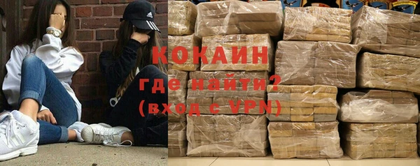 прущие грибы Анжеро-Судженск
